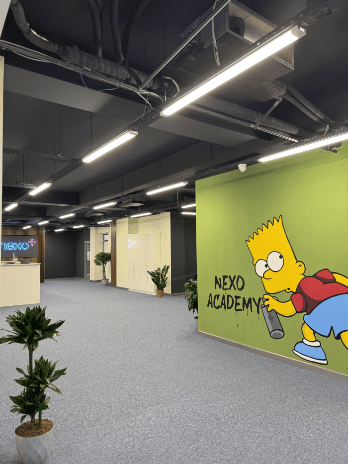 Nexo Coworking